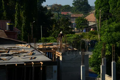 DSC_8004 (Large).JPG